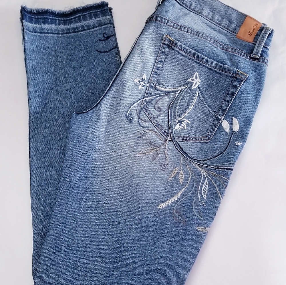 Level 99 Anthropologie Straight Blue Embroidered Denim Jeans Size 27 Boho